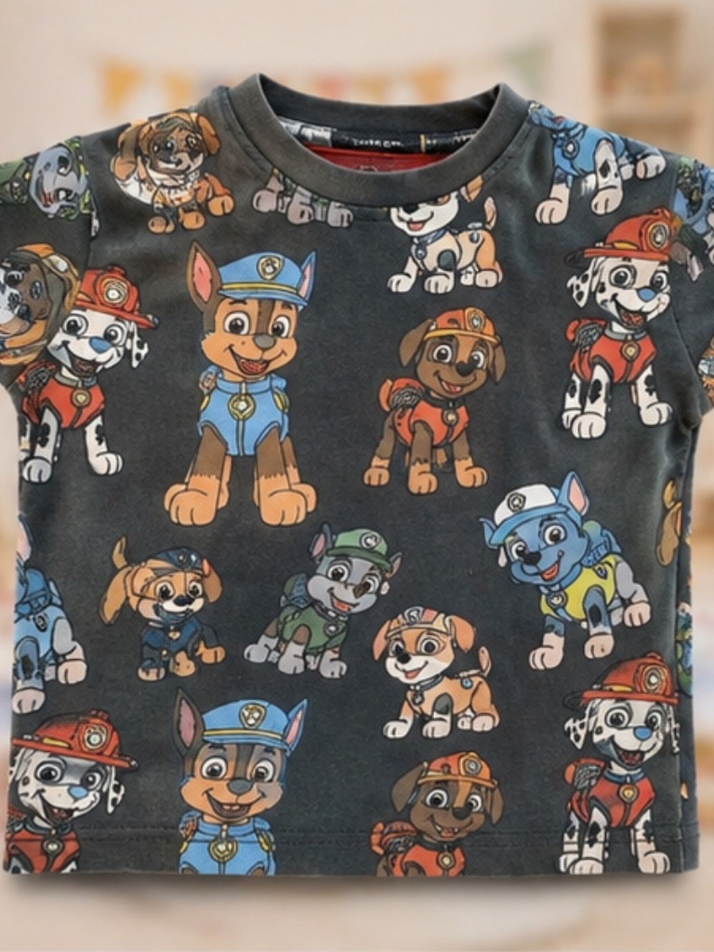 Reserved Boys Paw Patrol T-Shirt Size 3-4T Gray Character Tee
